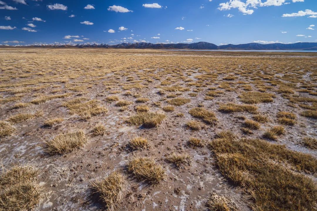 1710471701949815.jpg 微信圖片_20240315110005.jpg